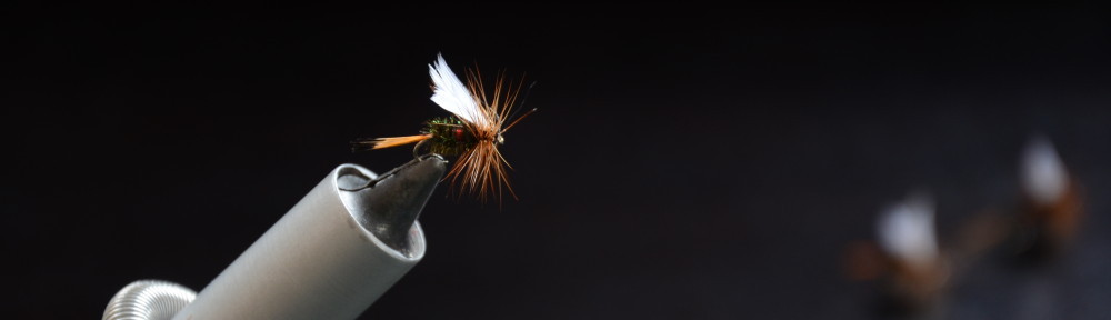 Why Fly Fish?